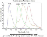 Fluorescence reference microscope slides