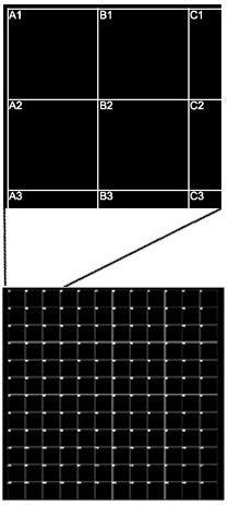 SEM finder grid substrate, silicon SFG12