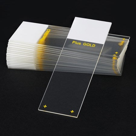 Superfrost plus gold adhesion slides