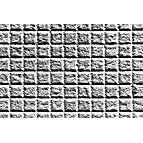 Magnification calibration diffraction grating replicas, 2160 l/mm