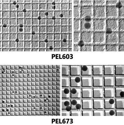 Magnification calibration diffraction grating replica, latex spheres