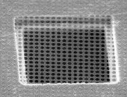 Quantifoil TEM substrates, R 1.2/1.3