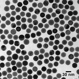 PELCO highly uniform gold microparticles