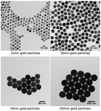 PELCO highly uniform gold microparticles