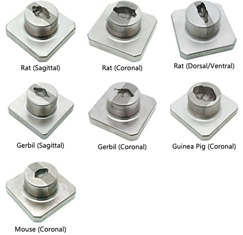 Rodent brain matrices, SS and chrome