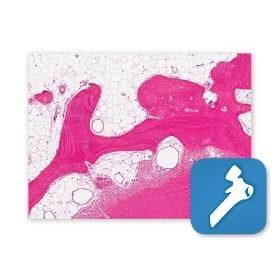 Decalcification kit, PELCO BioWave Pro+