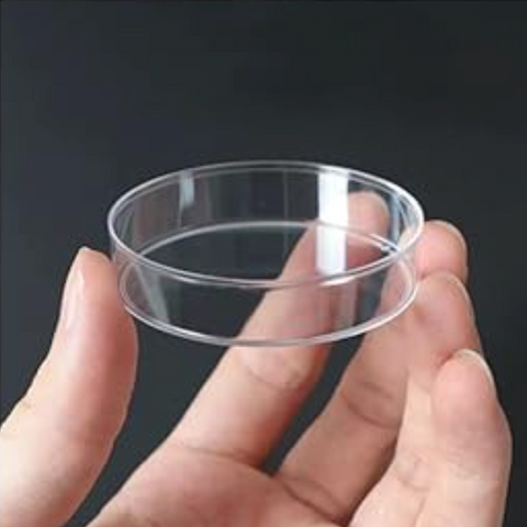 Petri dishes, PP