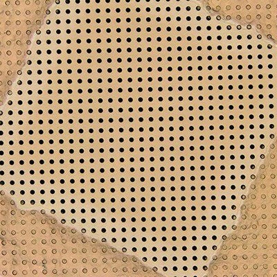 Quantifoil UltrAuFoil 2/2 holey gold film coated grids, square array