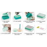 Tissue microarray mold kits
