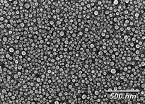 SEM tin on carbon on grid resolution standards, high magnification