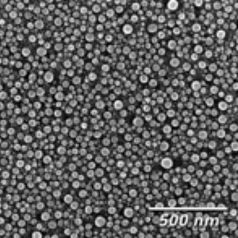 SEM high magnification resolution grid standards, tin on carbon disc
