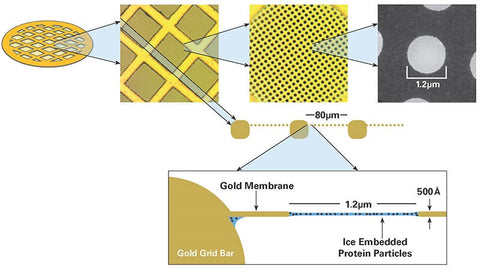 UltrAuFoil grids for cryo-EM, holey gold films regular square array