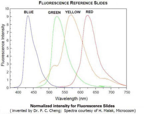 Fluorescence reference microscope slides