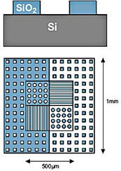 AFM calibration standard, step height 20nm, mounted