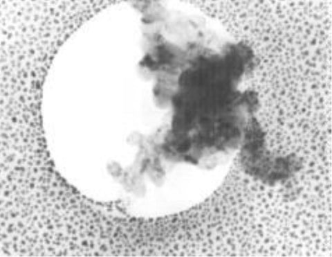 TEM calibration specimen, gold and graphitised carbon