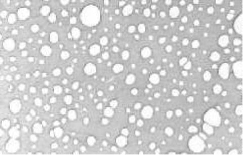 TEM calibration standard, astigmatism correction, holey carbon film