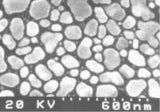 SEM resolution test standards, gold on carbon