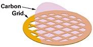 Carbon film coated grids