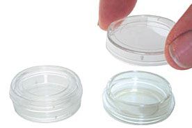 PELCO glass bottom dishes, clear wall