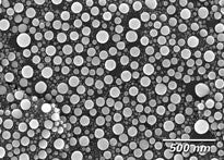 SEM tin on carbon disc resolution standards, medium magnification